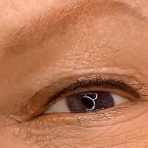 Permanent Make-up, Waxing, Microblading, Augenbrauen, Wipmern, Lidstrich, Lippen, Haare, Narben, Gesicht, dauerhaften kosmetischen T&auml;towierungen